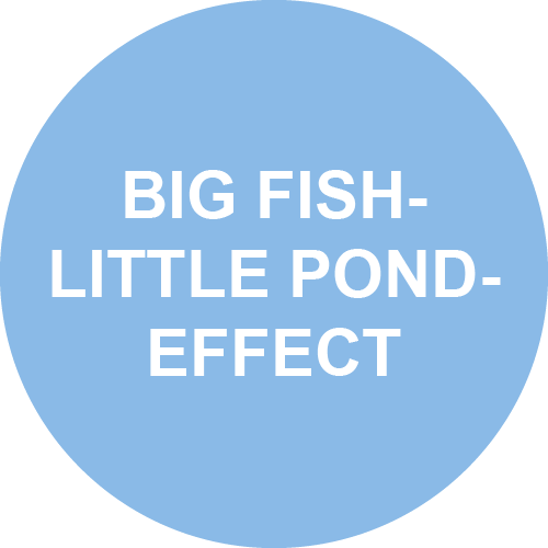 Big Fish-Little Pond-Effect