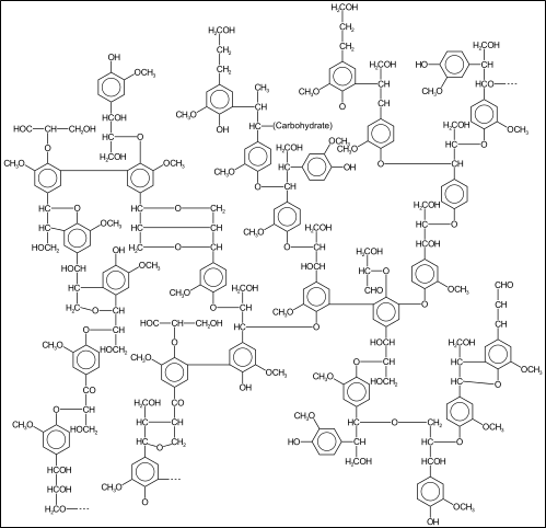 Chemische Struktur von Lignin