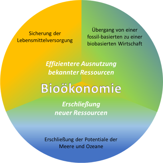 Tortendiagramm mit Zielen der Bioökonomie
