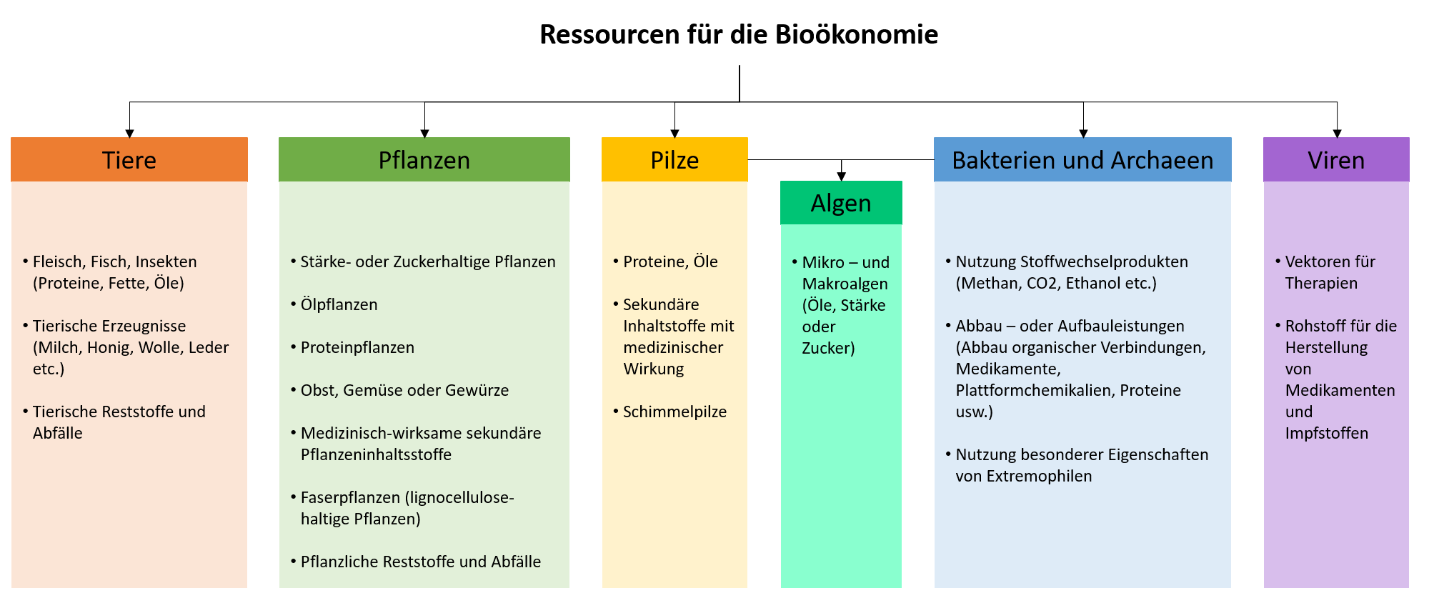 Überblick Bioressourcen