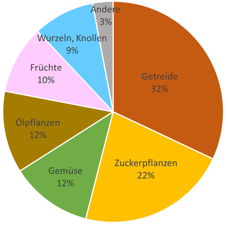 Tortendiagramm zur Landwirtschaftlichen Produktion
