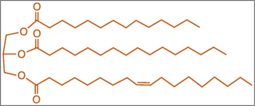 Chemische Struktur von Fettsäuren