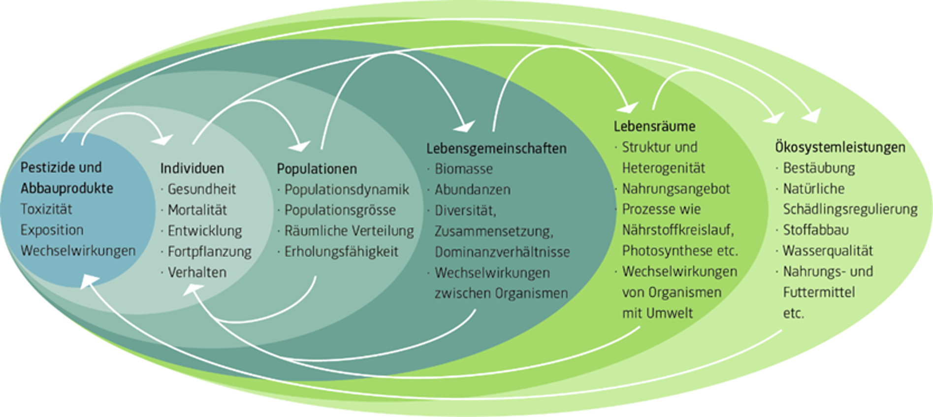 Der Einsatz von Pestiziden kann die Biodiversität von Individuen bis zum Lebensraum ungewollt beeinflussen. 
