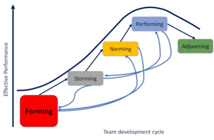 visuelle Darstellung der Stufen der Teamentwicklung im Zusammenhang mit effektiver Performanz; beim Bilden des Teams/Forming ist Performanz noch niedrig, nimmt beim Storming und Norming zu und erreicht höchste Effektivität in der Performing Phase. Zwischen Performing und Adjourning, also Auflösung des Teams, nimmt die Effektivität der Performanz dann wieder ab