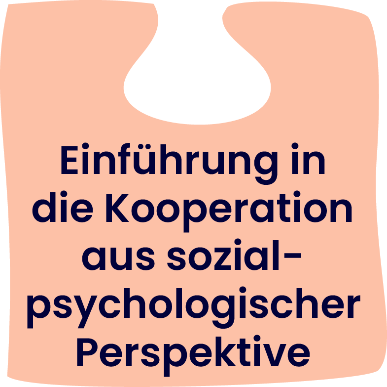 4. Einführung in die Kooperation aus sozialpsychologischer Perspektive
