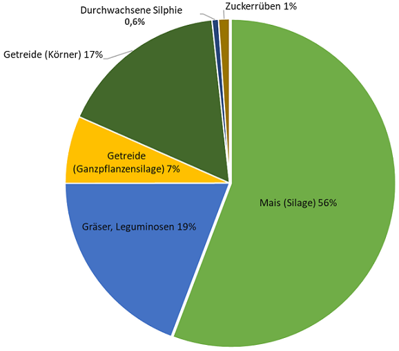 Biogassubstrate Tortendiagramm