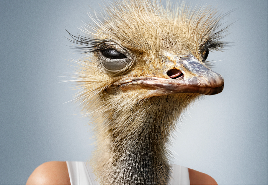 Was ist Dein Lieblingsmechanismus? 