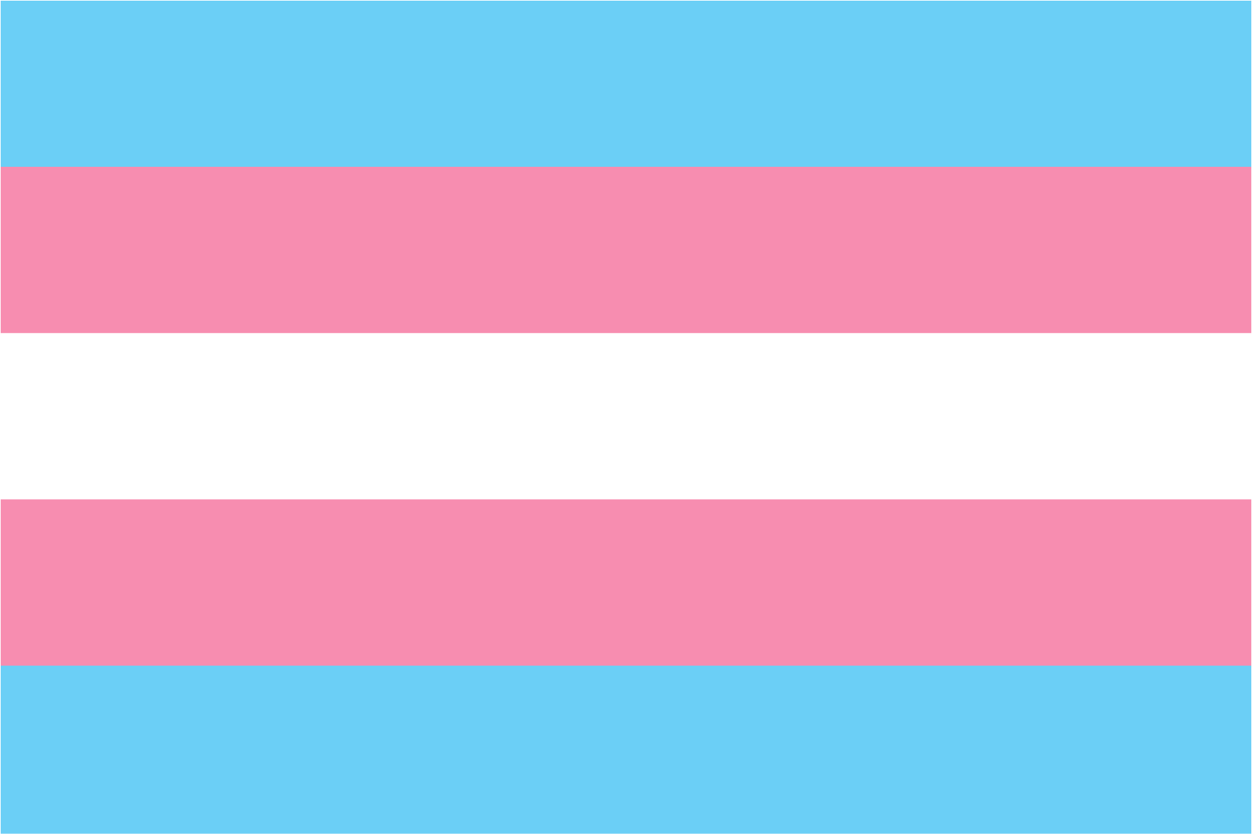 Trans Pride Flagge, fünf gleich große horizontale Streifen. Von oben nach unten: hellblau, babyrosa, weiß, babyrosa, hellblau
