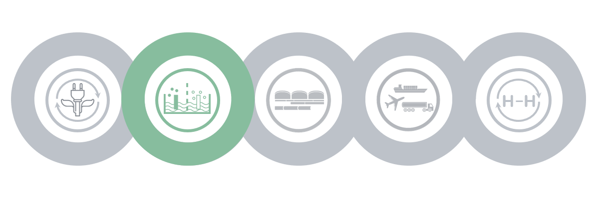 Chapter selection: The production of Green Hydrogen