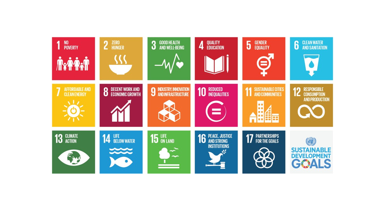 Sustainable Development Goals