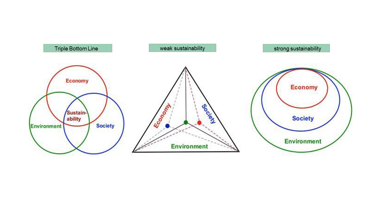 Triple Bottom Line