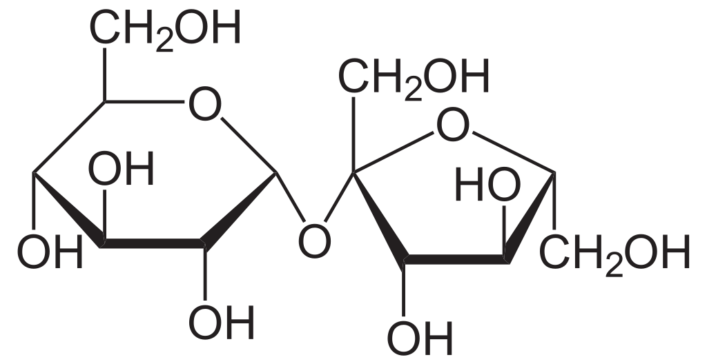 Strukturformel von Saccharose