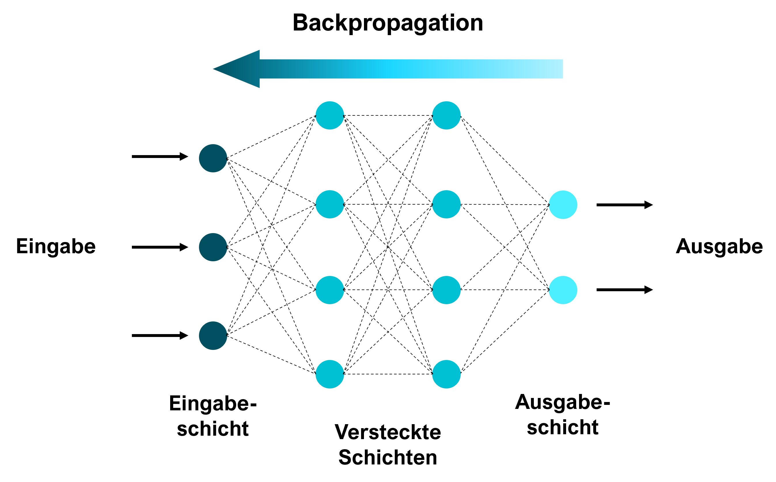 Die Backpropagation in Bezug auf die Schichten